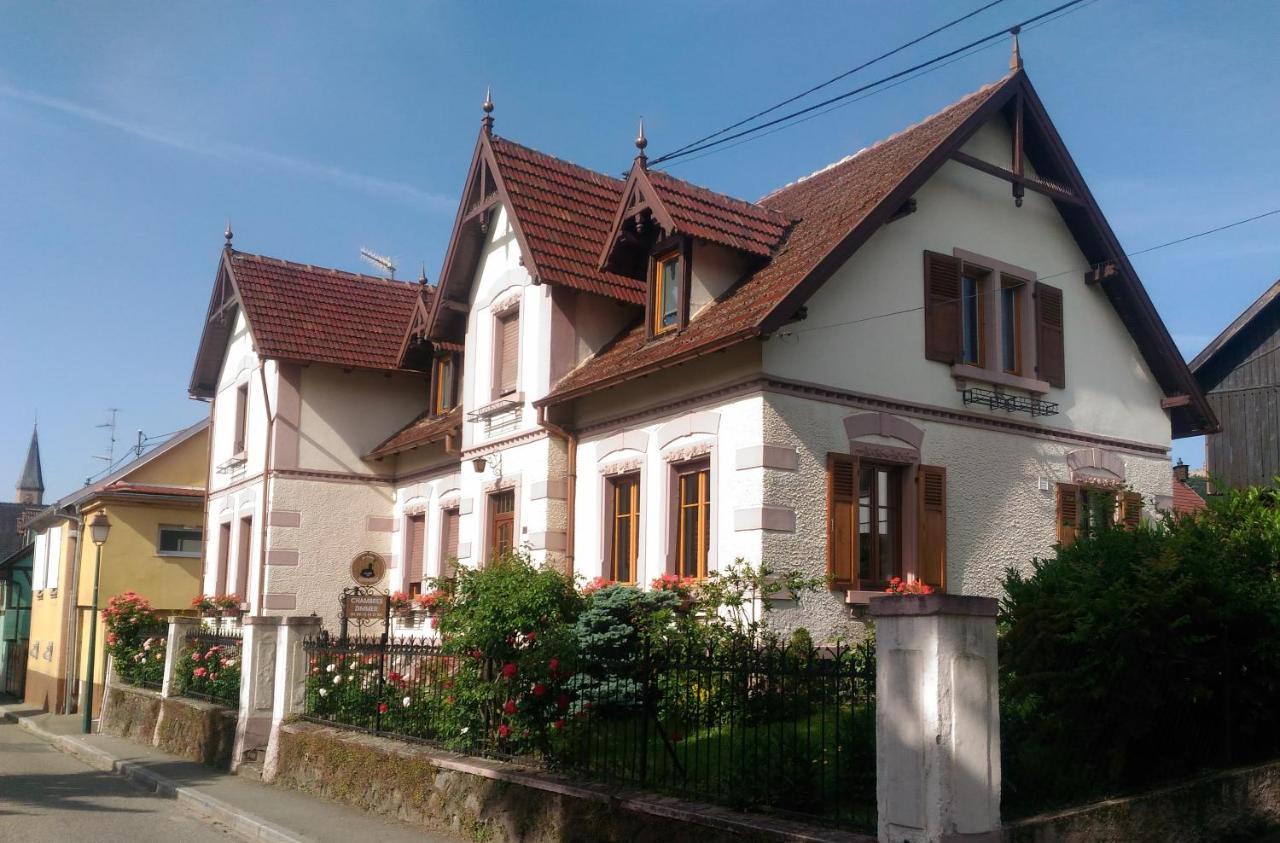 Gites Au Pied Du Haut-Koenigsbourg 킨츠하임 외부 사진